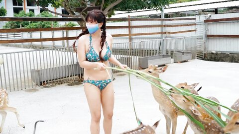 性愛旅行系列 小琉球篇 Ph62C7Ff731564E