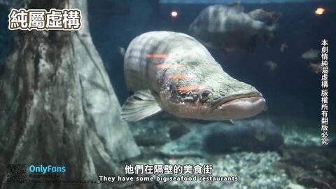 環遊世界旅行 吉隆坡篇 6478B624850Bf