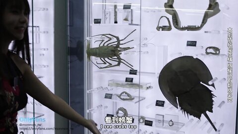 環遊世界旅行 吉隆坡篇 6478B624850Bf