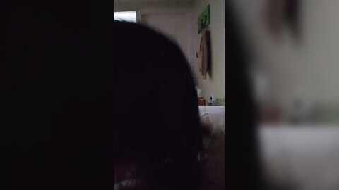 Img 0550