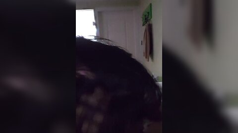 Img 0550
