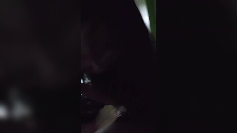 Img 0550