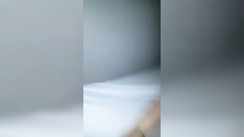 Img 0553