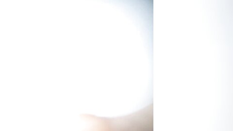 Img 0553