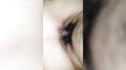 Img 0555