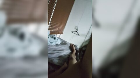 Img 0579