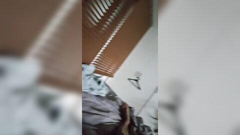 Img 0579