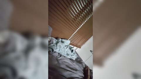 Img 0579