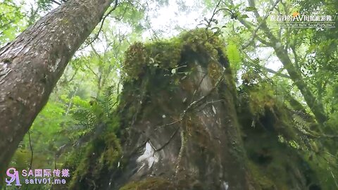 SA国际传媒SAT0099跟着我的AV闺蜜旅游去EP04
