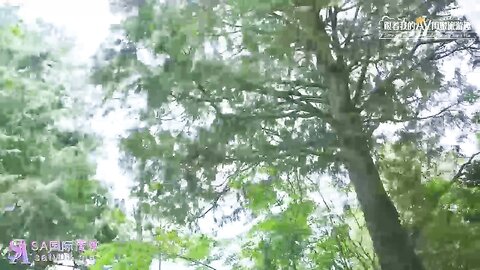 SA国际传媒SAT0099跟着我的AV闺蜜旅游去EP04