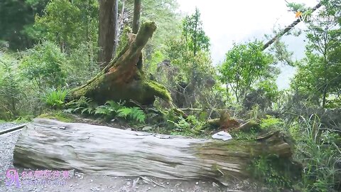 SA国际传媒SAT0099跟着我的AV闺蜜旅游去EP04