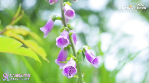 SA国际传媒SAT0099跟着我的AV闺蜜旅游去EP04