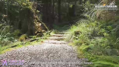 SA国际传媒SAT0099跟着我的AV闺蜜旅游去EP04