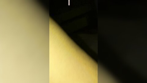 21022024 0385