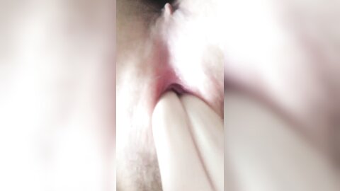 2019 01 02 23 06 18 Lrkw2Ri6Gz65Fei6
