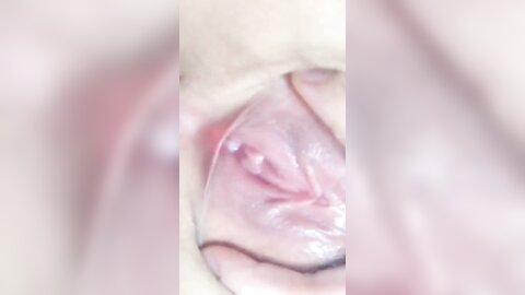 2019 02 16 16 07 55 D 1Lu6Jjw8Hmrbe0