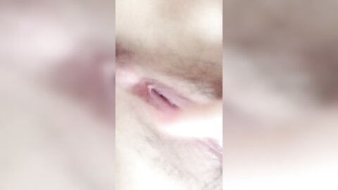 2019 02 16 16 07 55 D 1Lu6Jjw8Hmrbe0