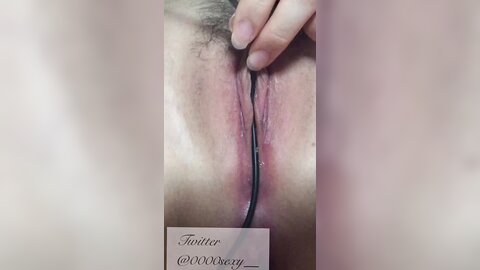 2019 10 19 02 09 23 Pi2Ozd3A46Hxzyo0