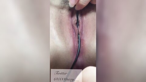 2019 10 19 02 09 23 Pi2Ozd3A46Hxzyo0