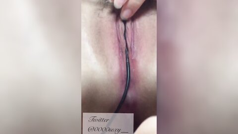 2019 10 19 02 09 23 Pi2Ozd3A46Hxzyo0