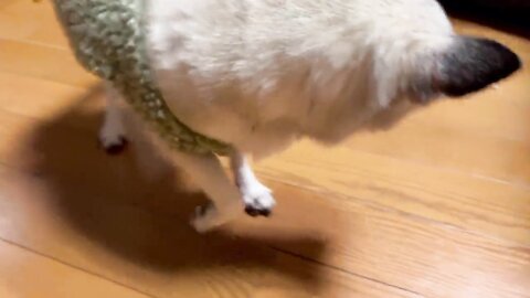 2021 12 27 12 29 23 Gcwkuv8Gdtffpvj2