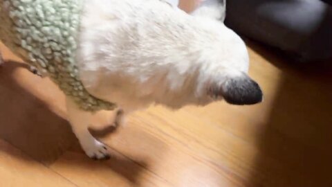 2021 12 27 12 29 23 Gcwkuv8Gdtffpvj2