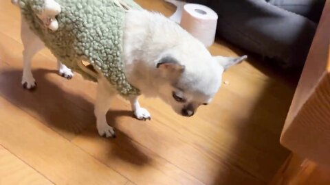 2021 12 27 12 29 23 Gcwkuv8Gdtffpvj2