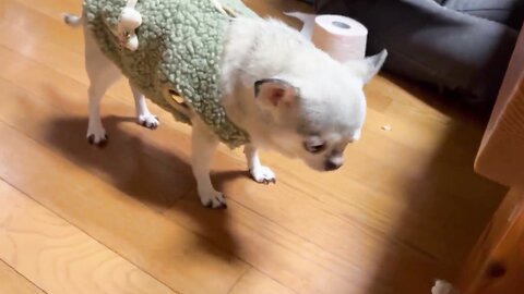 2021 12 27 12 29 23 Gcwkuv8Gdtffpvj2