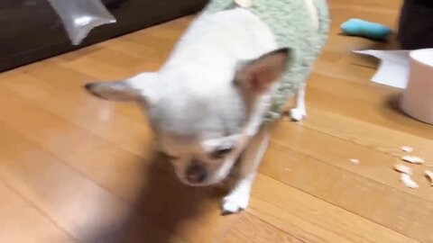 2021 12 27 12 29 23 Gcwkuv8Gdtffpvj2