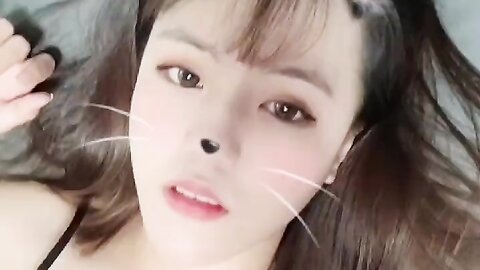 2022 02 08 고양이 입양 할사람 1490914826100482051 C0Sylohftvck J65