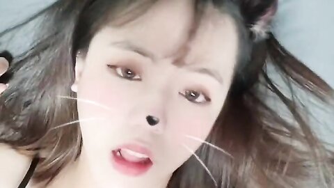2022 02 08 고양이 입양 할사람 1490914826100482051 C0Sylohftvck J65