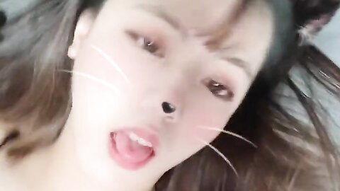 2022 02 08 고양이 입양 할사람 1490914826100482051 C0Sylohftvck J65