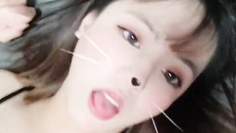 2022 02 08 고양이 입양 할사람 1490914826100482051 C0Sylohftvck J65