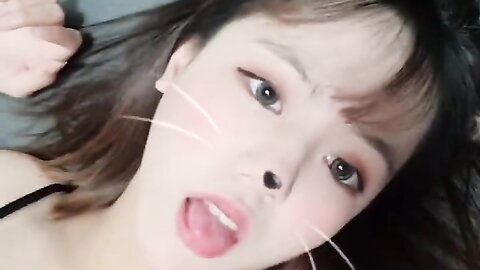 2022 02 08 고양이 입양 할사람 1490914826100482051 C0Sylohftvck J65