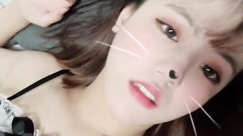 2022 02 08 고양이 입양 할사람 1490914826100482051 C0Sylohftvck J65