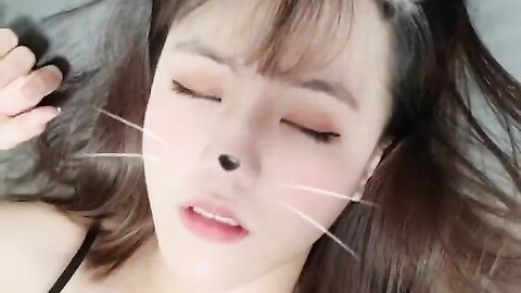 2022 02 08 고양이 입양 할사람 1490914826100482051 C0Sylohftvck J65