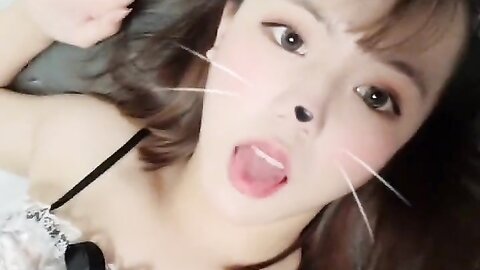 2022 02 08 고양이 입양 할사람 1490914826100482051 C0Sylohftvck J65