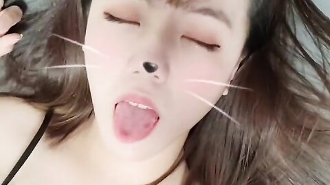2022 02 08 고양이 입양 할사람 1490914826100482051 C0Sylohftvck J65