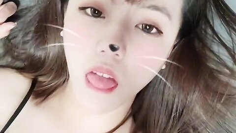 2022 02 08 고양이 입양 할사람 1490914826100482051 C0Sylohftvck J65