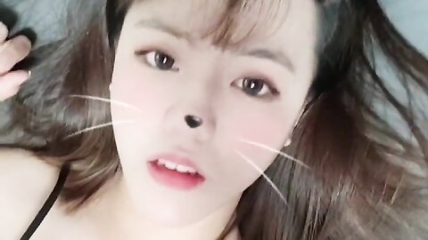 2022 02 08 고양이 입양 할사람 1490914826100482051 C0Sylohftvck J65