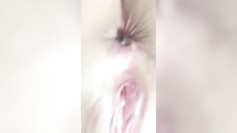 Bqvcijjmniluokdp