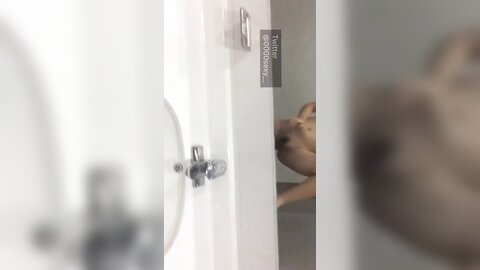 Dlifyaksolsumym1