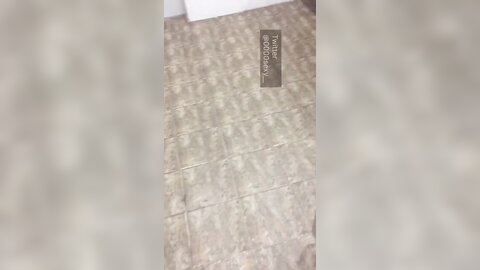 Dlifyaksolsumym1