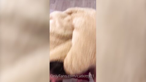 Catkitty21  Onlyfans  Bj Daily Facial