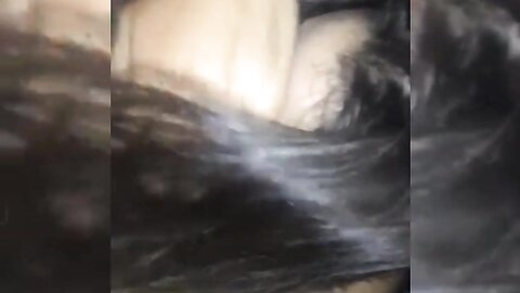 Onlyfans Veronica Perasso Veronicaperraso  2230 27904 32399