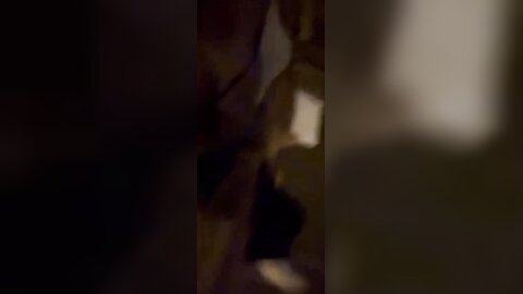 5 Seyxhfy55Iq7Vg
