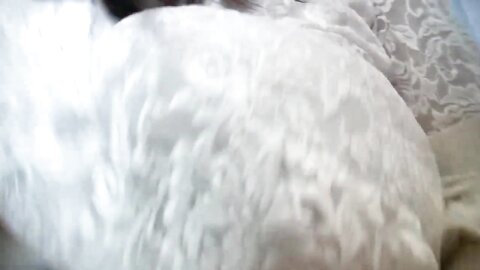 Cute Japanese Girl Wants Hot Cum Inside Her