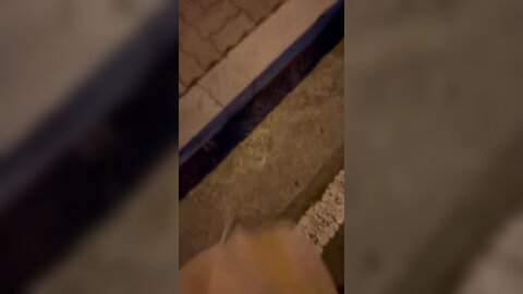 Ii9Vm3Vmfxelsssl