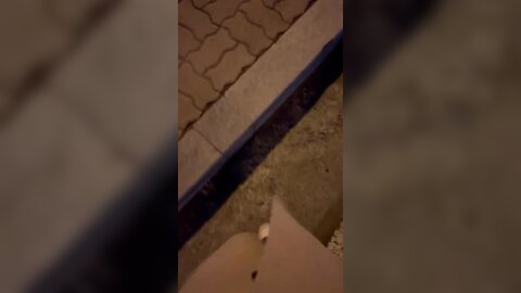 Ii9Vm3Vmfxelsssl