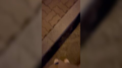 Ii9Vm3Vmfxelsssl